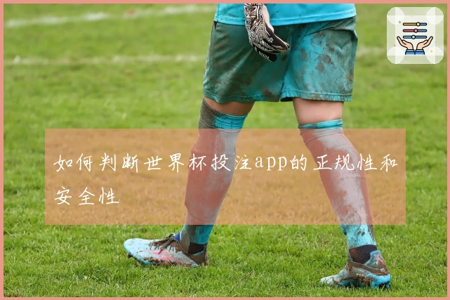如何判断世界杯投注app的正规性和安全性